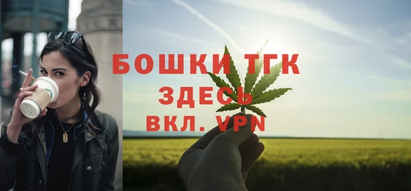 spice Инсар