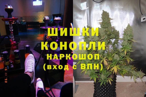 ECSTASY Инта