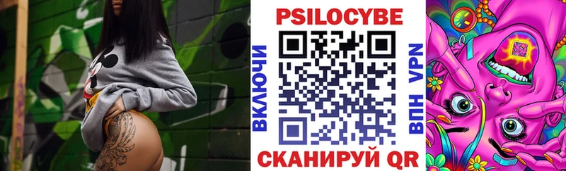 Купить где  Дятьково  Псилоцибиновые грибы Magic Shrooms 