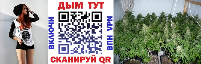 Каннабис Amnesia  Купить где  Дятьково 